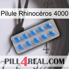 Pilule Rhinocéros 4000 22